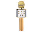 Mikrofon bezprzewodowy bluetooth głośnik karaoke okrągły z etui różne tryby