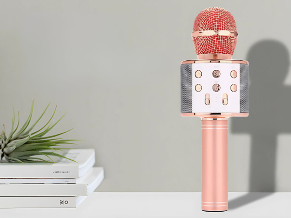 Mikrofon bezprzewodowy bluetooth głośnik karaoke okrągły z etui różne tryby