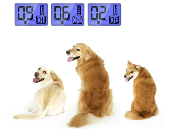 Elektryczna obroża dla psa treningowa 800m pilot