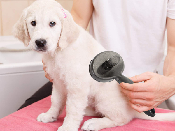 Szczotka do sierści dla psa kota samoczyszcząca zgrzebło do pielęgnacji