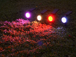 Lampa solarna rgb kolorowa ogrodowa świateczna