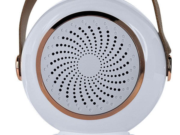 Bezprzewodowy przenośny zestaw do karaoke głośnik bluetooth + 2x mikrofon