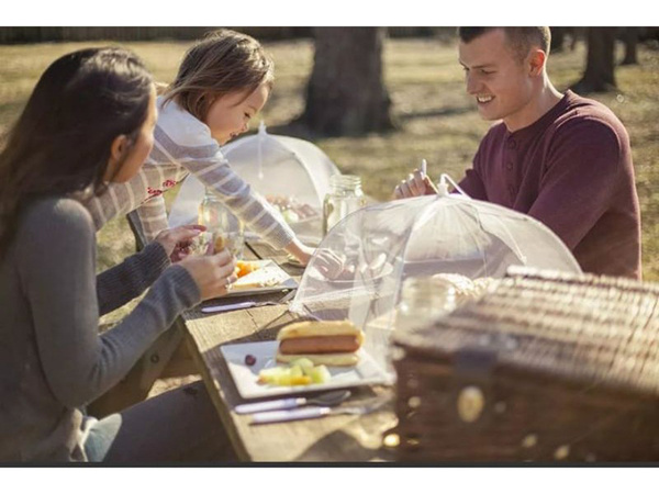 Moskitiera osłona siatka na jedzenie owoce grill ochrona przed owadami 34cm 