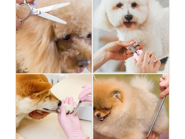 Maszynka do strzyżenia psów i zwierząt bezprzewodowa zestaw profesjonalna