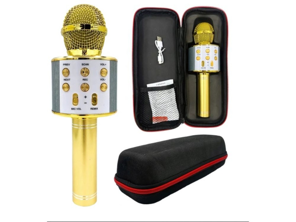 Mikrofon bezprzewodowy bluetooth głośnik karaoke okrągły z etui różne tryby