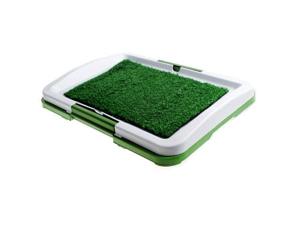 Kuweta trawą dla psa psów szczeniąt mata do nauki