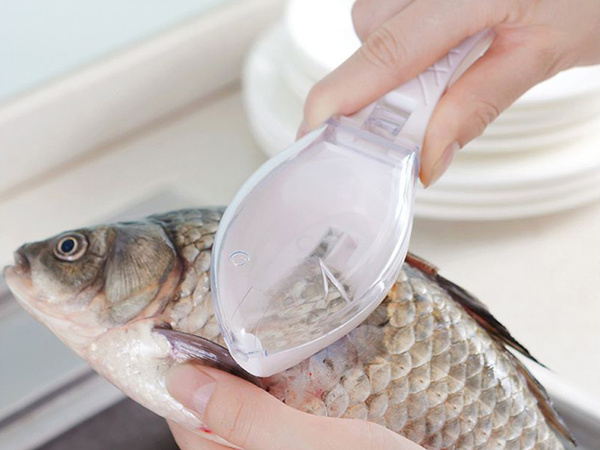 Skrobak do ryb obieraczka nóż do łusek pojemnik