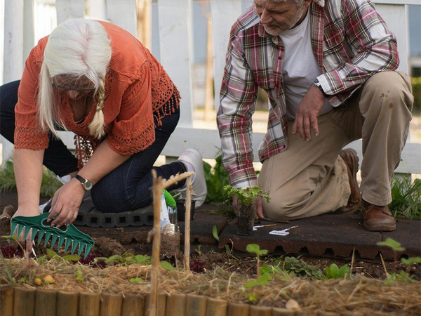 Ręczna sadzarka na 12 otworów dziurkacz siewnik ogrodowy do sadzenia roślin