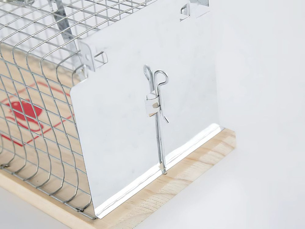 Pułapka żywołapka na szczury gryzonie humanitarna duża metalowa klatka xl