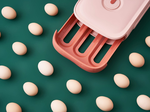 Pojemnik na jajka box organizer do lodówki pudełko szuflada do jaj pudełko