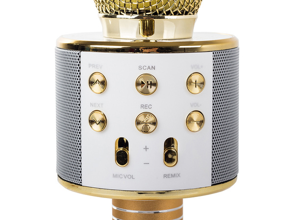 Mikrofon bezprzewodowy bluetooth głośnik karaoke okrągły z etui różne tryby