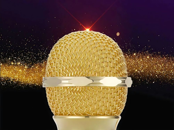 Mikrofon bezprzewodowy bluetooth głośnik karaoke okrągły z etui różne tryby