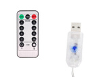 KURTYNA ŚWIETLNA 138 LED KOLOR (30)