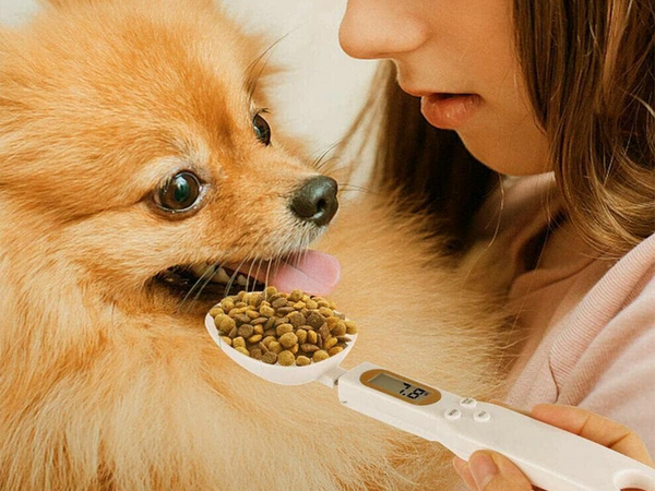 Waga kuchenna łyżka elektroniczna lcd cyfrowa prcyzyjna do ręczna 500g