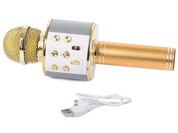Mikrofon bezprzewodowy bluetooth głośnik karaoke okrągły z etui różne tryby