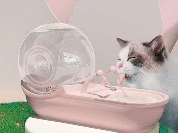 Automatyczne poidełko dla kota psa fontanna wodna filtr poidło miska ślimak
