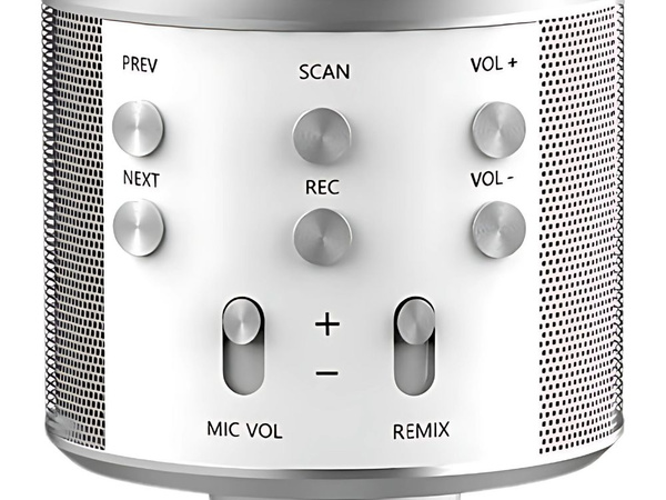 Mikrofon bezprzewodowy bluetooth głośnik karaoke okrągły z etui różne tryby