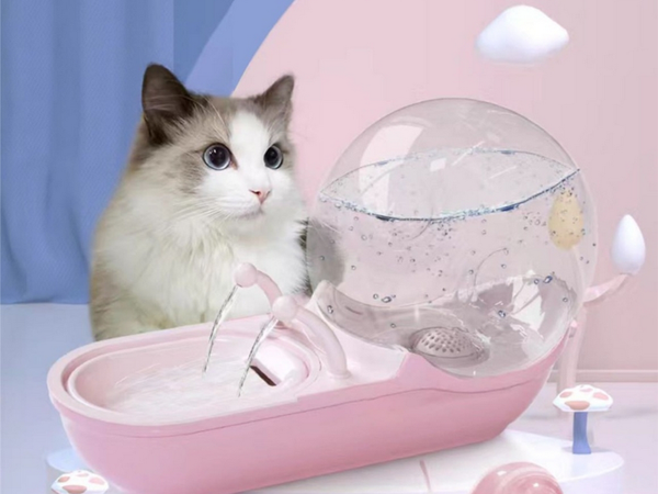 Automatyczne poidełko dla kota psa fontanna wodna filtr poidło miska ślimak