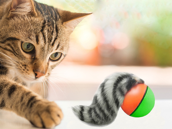 Fretka biegajaca piłka uciekajaca zabawka dla kota