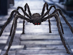 Pająk halloween gigant olbrzym tarantula dekoracja